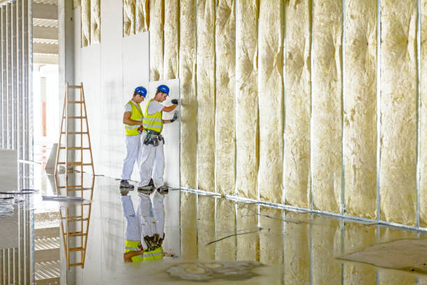 Best Insulation Repair Services  in Mason, TX